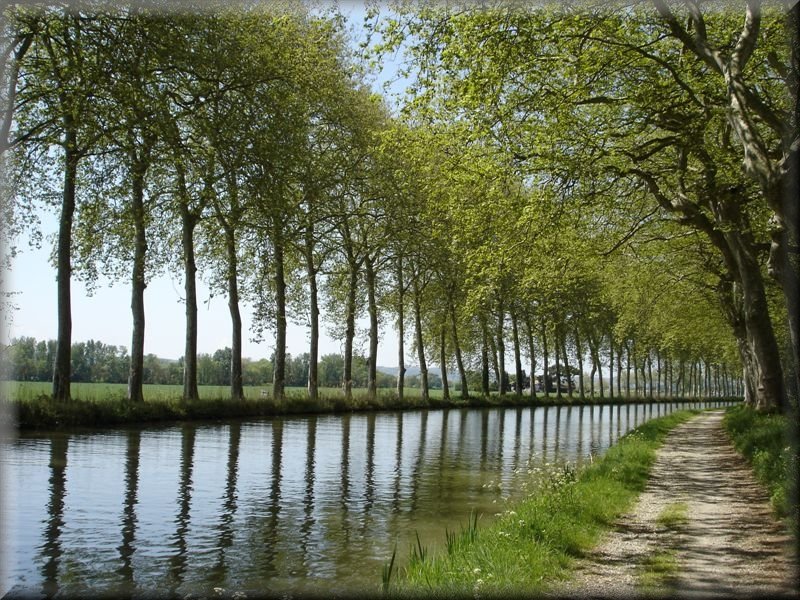 Le Long du Canal du Midi